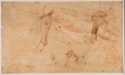Studies of Nudes