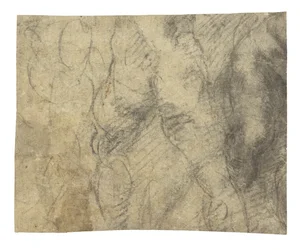 A male nude seen from behind