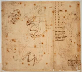 Autograph Studies and Counts