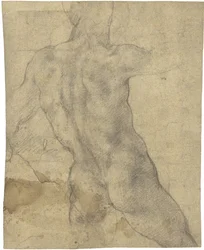Male nude