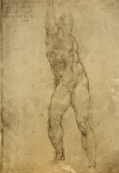Nude Study