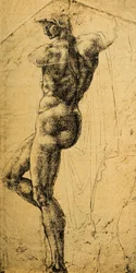 Nude Study