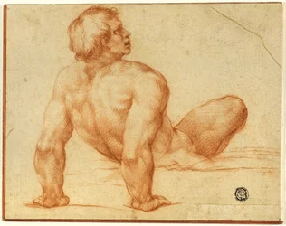 Seated Male Nude