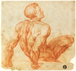 Seated Male Nude