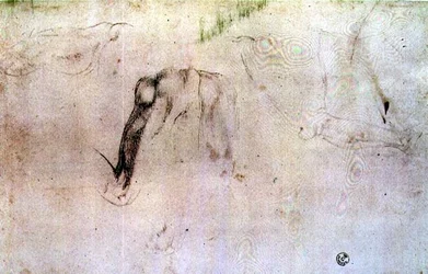 Sketch of Legs