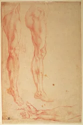 Studies of Legs and Arms