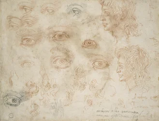 Studies of Two Heads