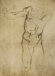 Study for a masculine bust