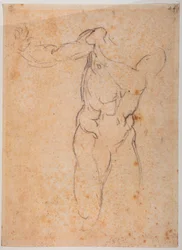 Study for the Adam of the 