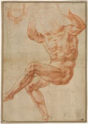 Study for the Nude Youth over the Prophet Daniel (detail)