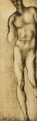 Study of a masculine figure