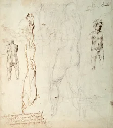 Study of the Christ Child and an Anatomical Drawing with Notes (verso)