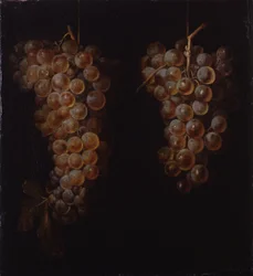 Bunches of Grapes