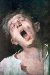 Yawning Apprentice