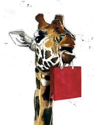 Birthday Giraffe on White
