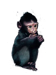 The Baby Macaque on White, 2020