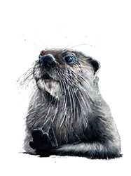 The Otter on White