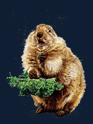 The Prairie Dog on Midnight Blue, 2020