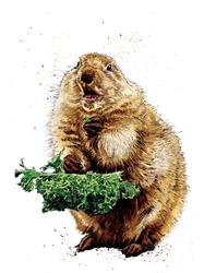 The Prairie Dog on White, 2020