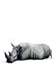 The Rhino