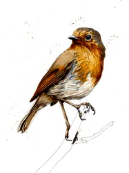 The Robin