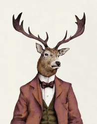 A Deer with Human Attire—Wearing