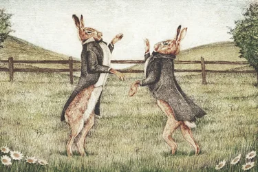 Gentlemen Fight