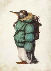 Penguin Adventurer