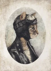Stylish Cat Wearing A Leather Jacket