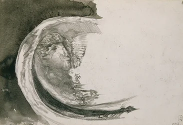 Pearl Mussel, 1904