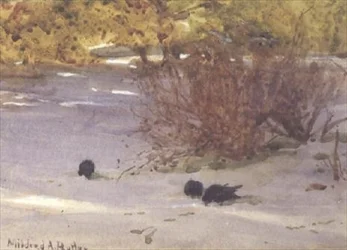 Shadows on the Snow