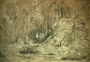 A Clearing in a Wood