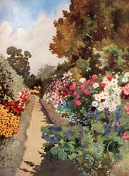 Herbaceous Border, Villa Hvidore