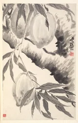 Peaches, 1788