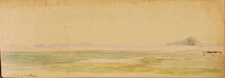 Plains of Carthage