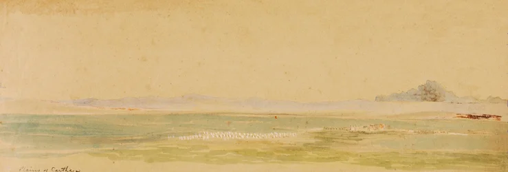Plains of Carthage
