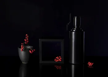 Red Berries Dark Still Life