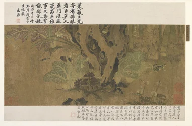 Bamboo, Frog and Insects