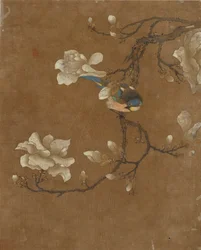 Ten pictures of birds and flowers