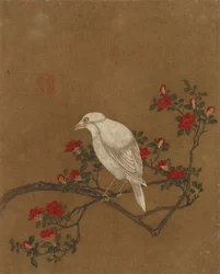 Ten pictures of birds and flowers