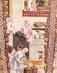Unknown Image