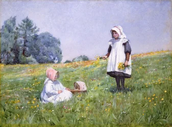Buttercups and Daisies