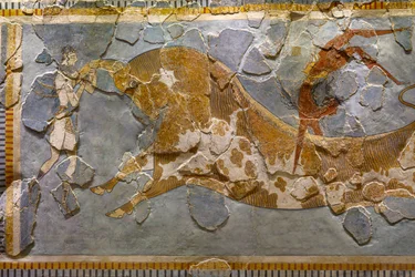 Detail of the Bull Leaping Fresco (detail)