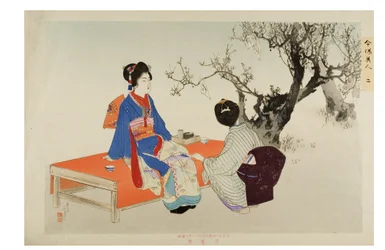 Looking at Plum Blossoms from the Series Modern Beauties