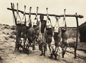 Building an Empire in the Fascist age: some captured deer