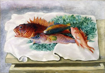 Fish