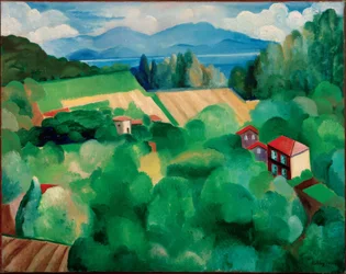 Landscape of St. Tropez