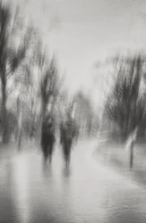 Dreamlike Park Stroll
