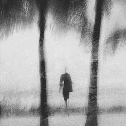 Dreamy Coastal Walk