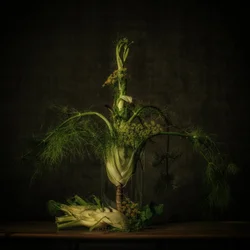 Moody Fennel Still Life